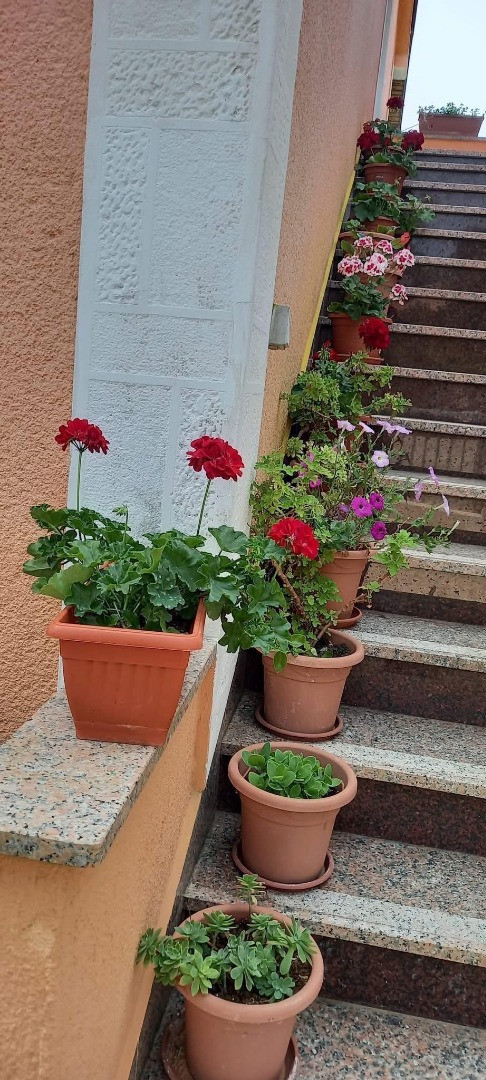 Natalka 5 + 2, Apartments Božena, near beach in Krk, Croatia Krk